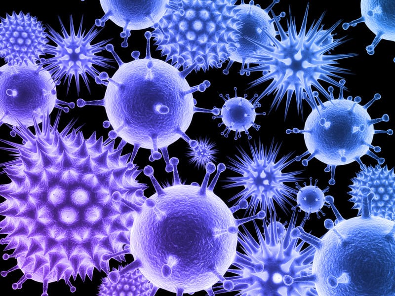 Insurance Coverage for Losses Arising from the Ebola Virus Insurance Coverage for Losses Arising from the Ebola Virus